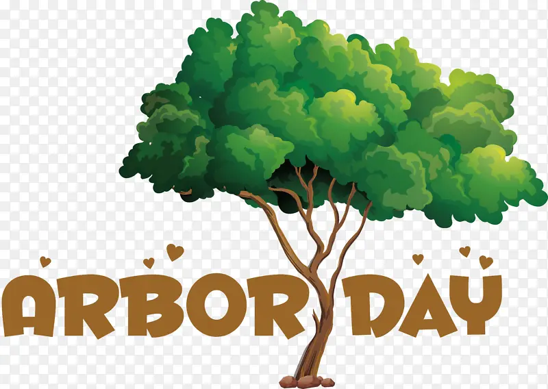 ���˰ ���� ����-������