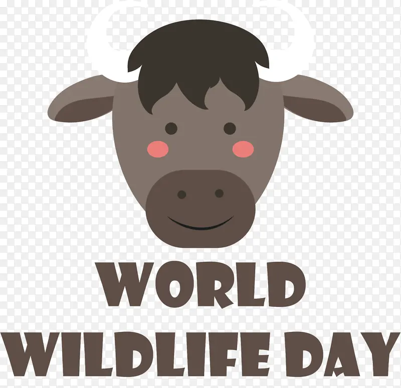 ��ͨ ɽ�� ����-������