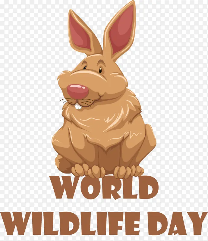 ��ͨ �ʼ����� ������-������