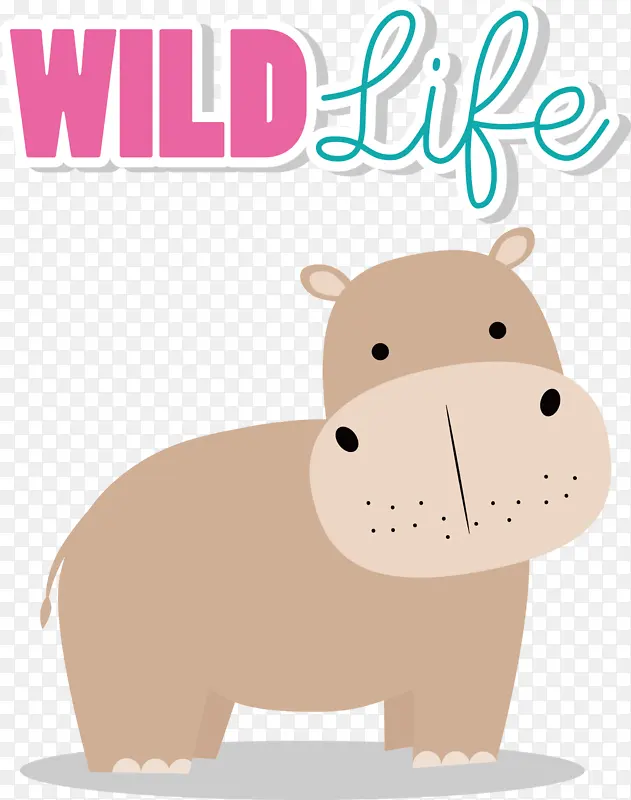 �� ���� ��ͨ-������