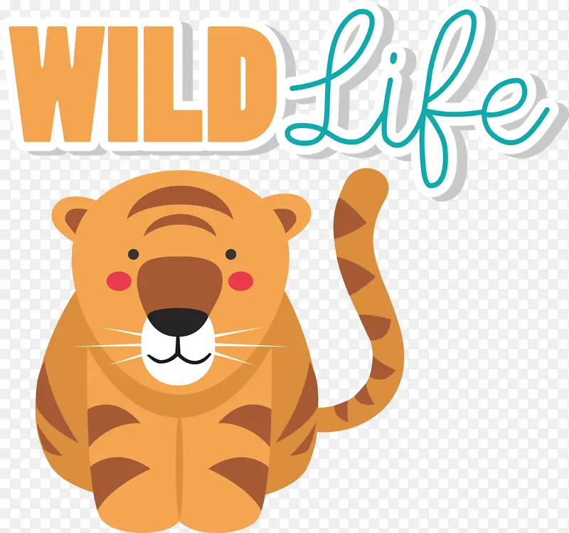 �滭 ���� ��ͨ-������