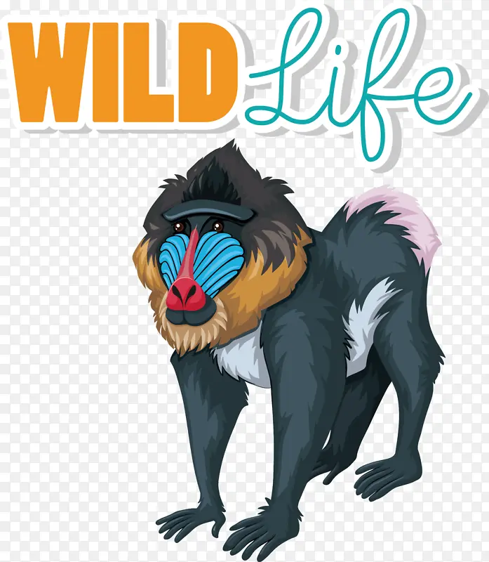 ���� ���� ����-������