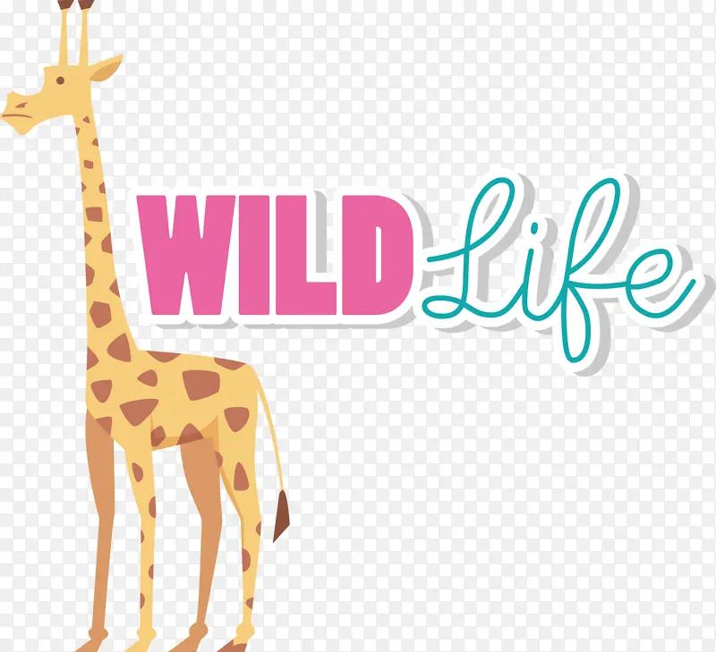 ����¹ �� ��ѧ-������