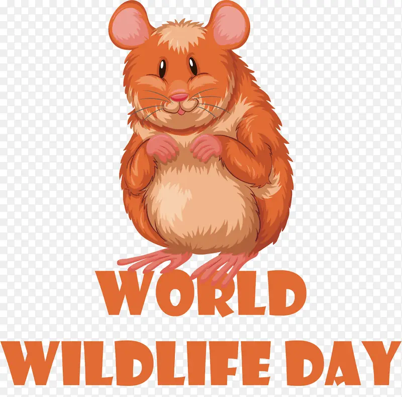 ���ݶ��� ���� ����-������