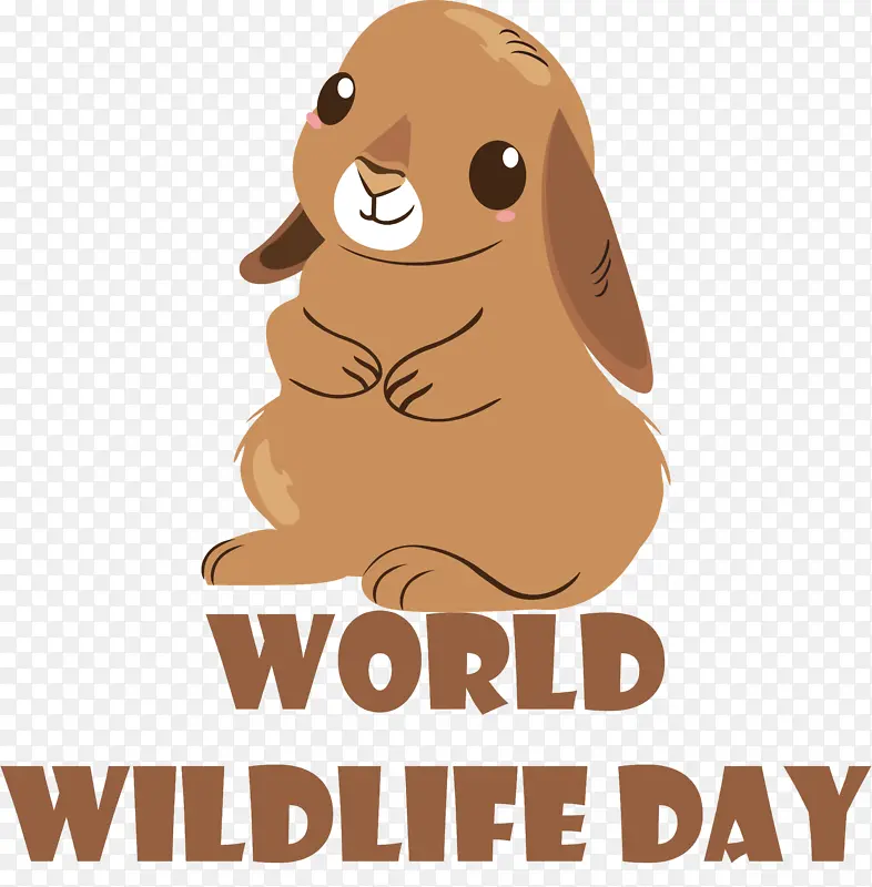 �� �� ����-������