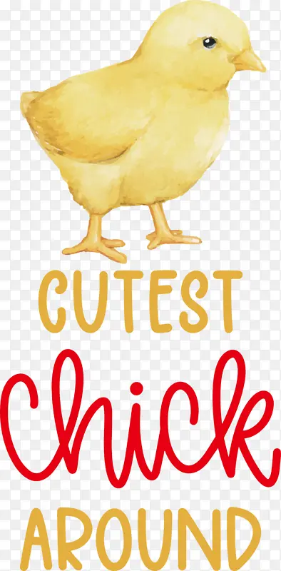 �� � ��-������