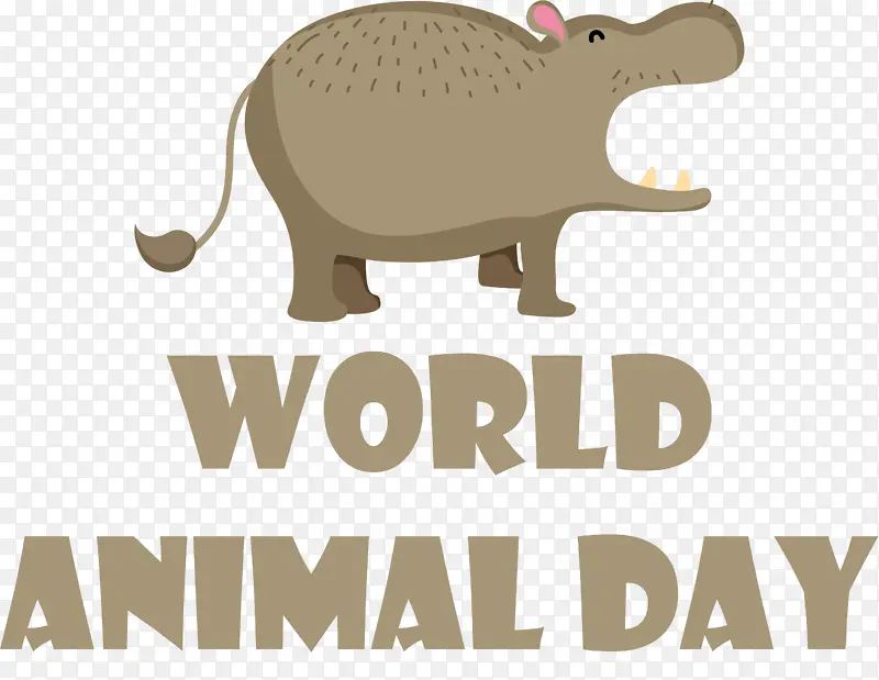 �̱� ���� ����-������