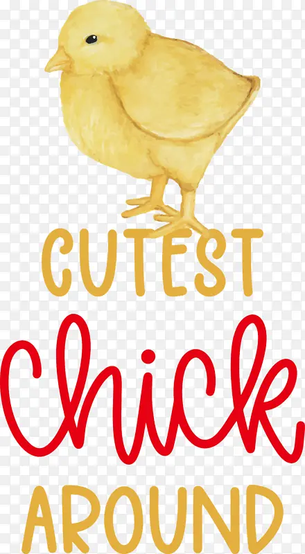 ���� � ��ɫ-������