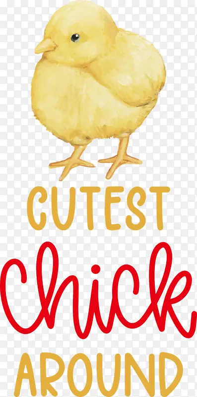 �� � ��-������