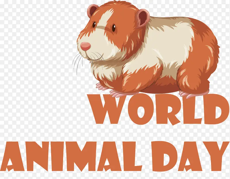 ���ݶ��� ��־ ����-������