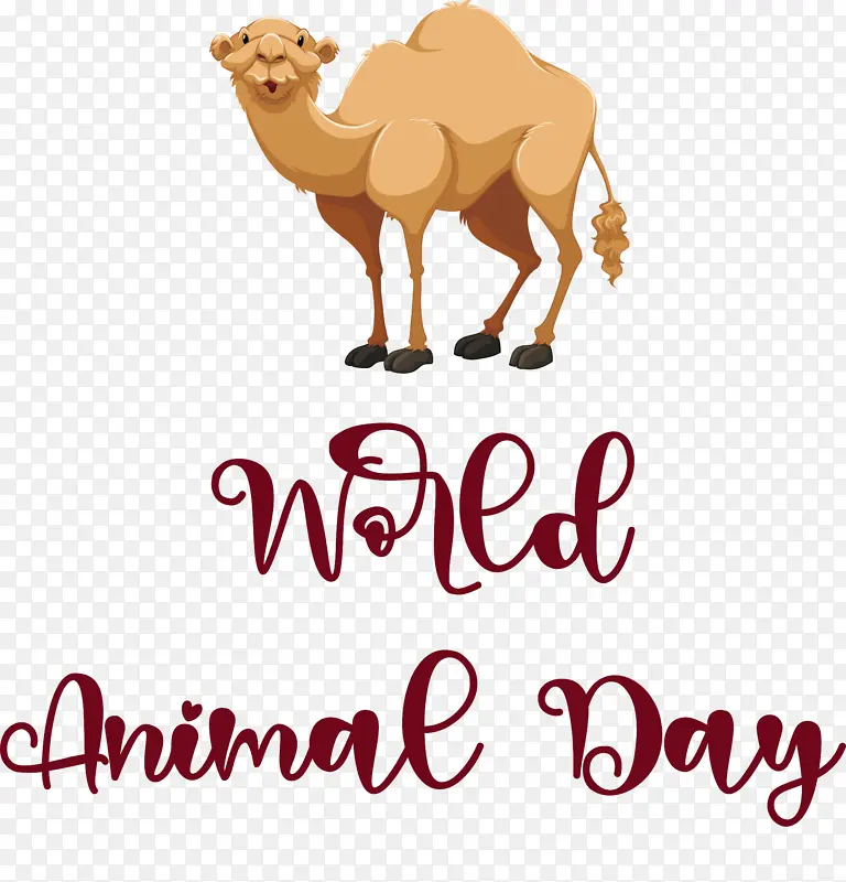 �������� ��־ ����-������