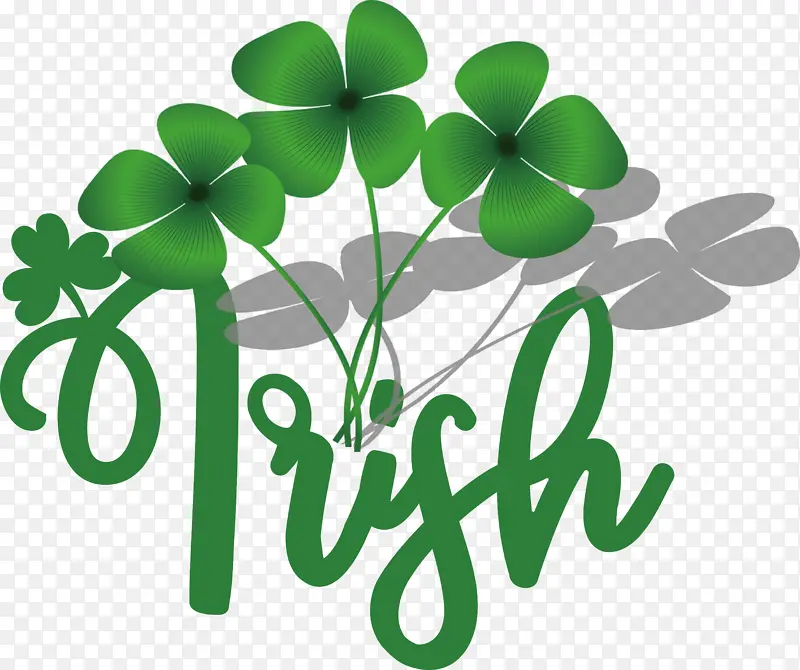 ��Ҷ�� ���˲� ��Ҷ��-������