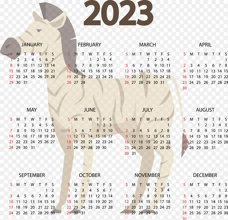 ���� �� ��-������