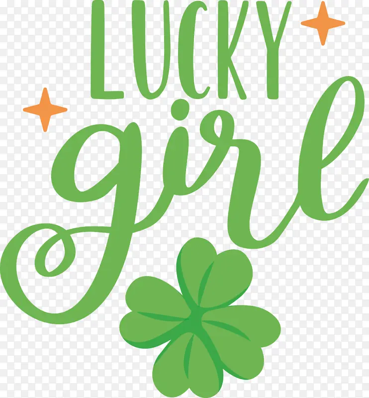 ��װ ���� ����-������