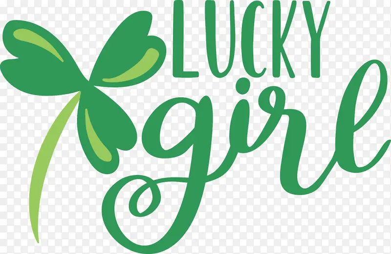 ��װ ���� ����-������