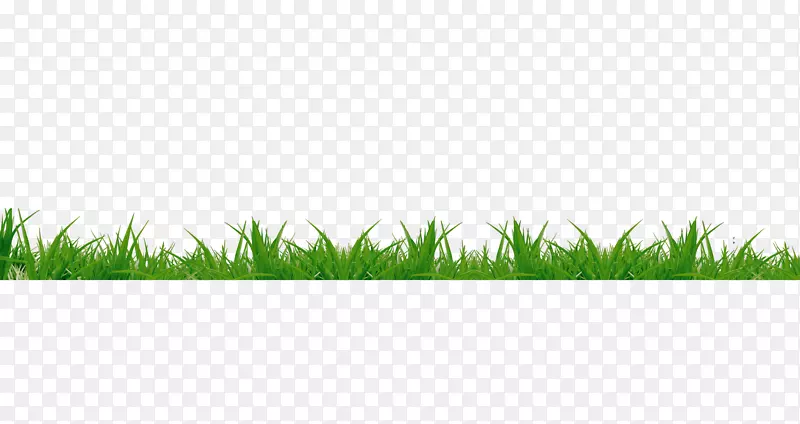 ֲ���̲�����ز�6-������