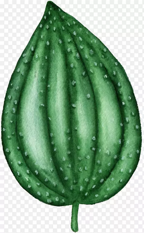 ��ɫֲ�￨ͨ�ֻ�-������