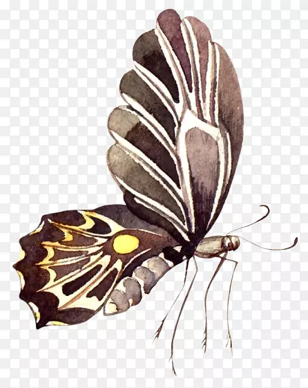 ˮ����ɫ����-������