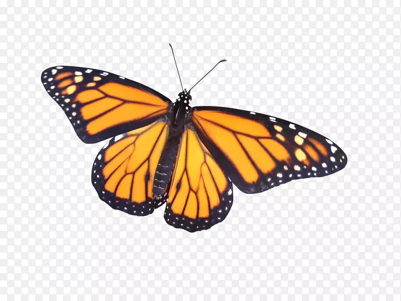 �����������������-������