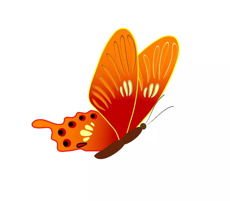 ����  ��ɫ����-������