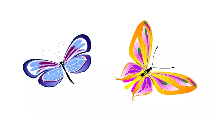 ����   ��ɫ����-������