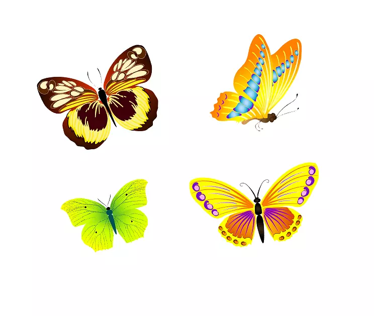 ����   ������-������