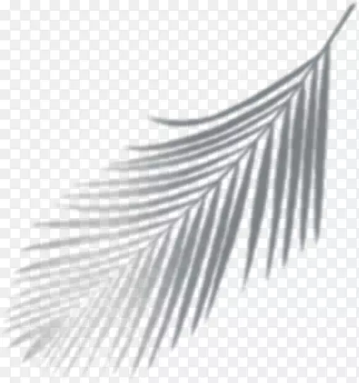 ��Ӱ������ӰӰ��-������