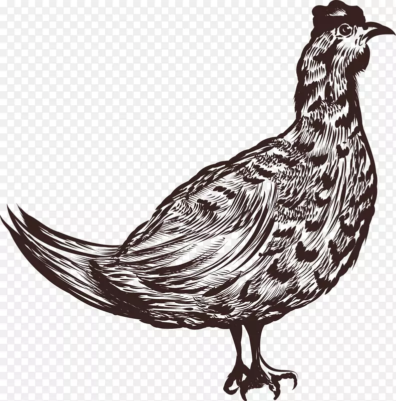 ��ͨ��������綯��װ�κ������-������