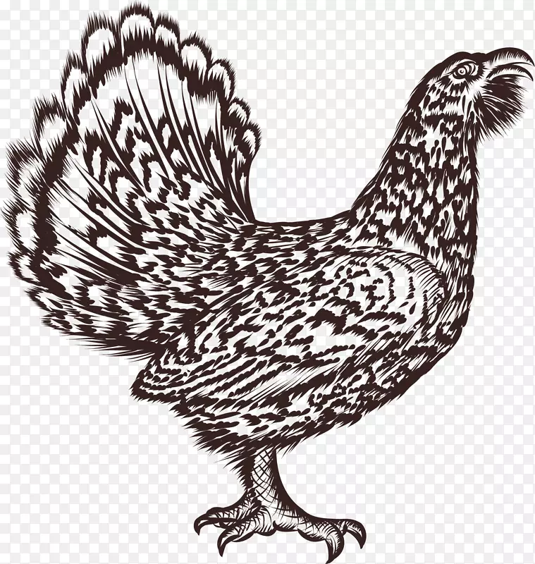 ��ͨ��������綯��װ�κ������-������