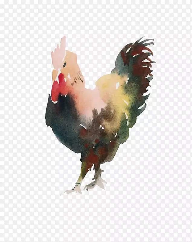 2017ˮ���ֻ湫���ز�-������