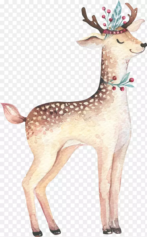 ÷��¹�ֻ濨ͨ������-������