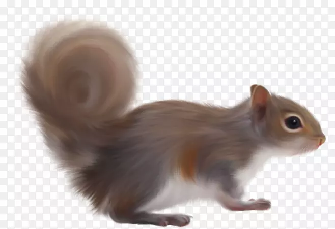 �����ɰ�С����-������