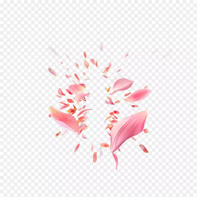 �����ɫ����-������