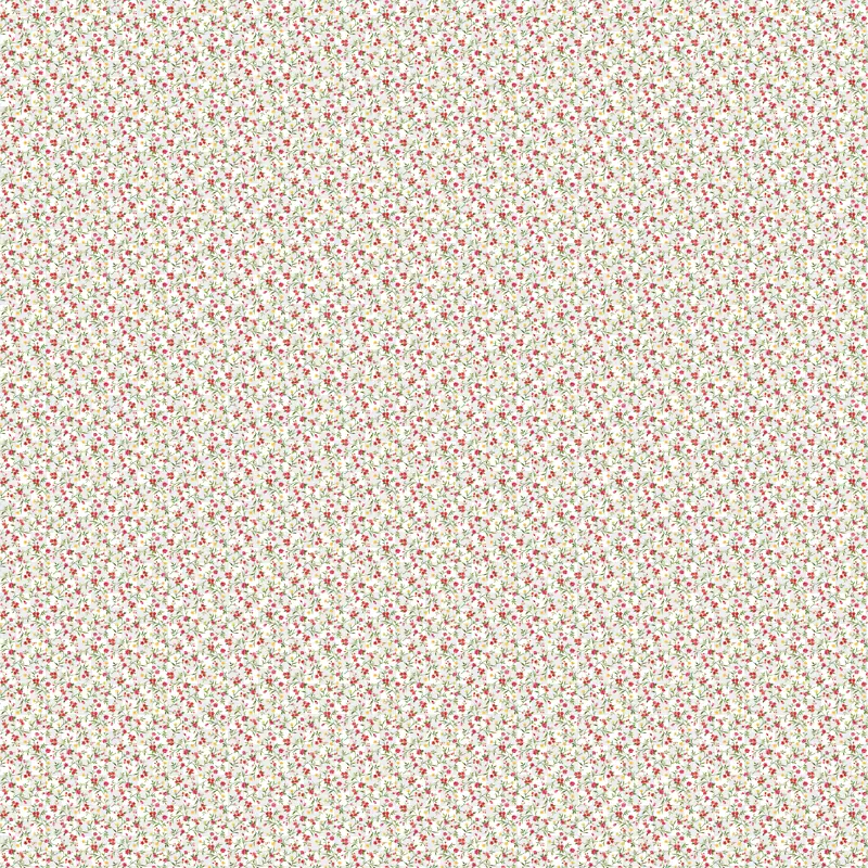 ��ɫ����ʸ��-������