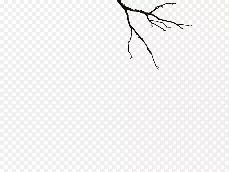 �й���ŵ��ز�3-������