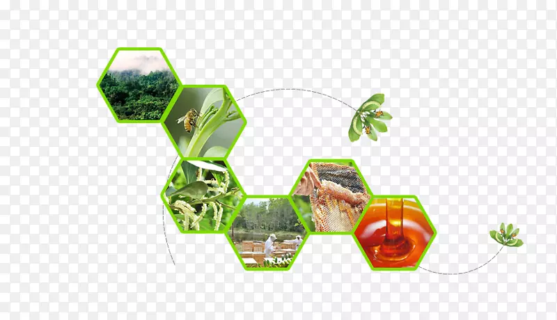 �����Ű��ز�-������