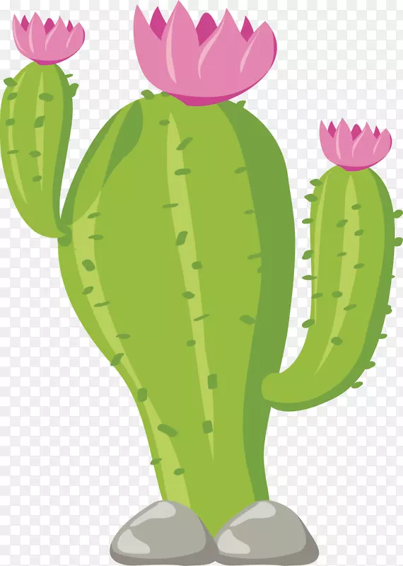 �����ƿ���ʸ��ͼ-������