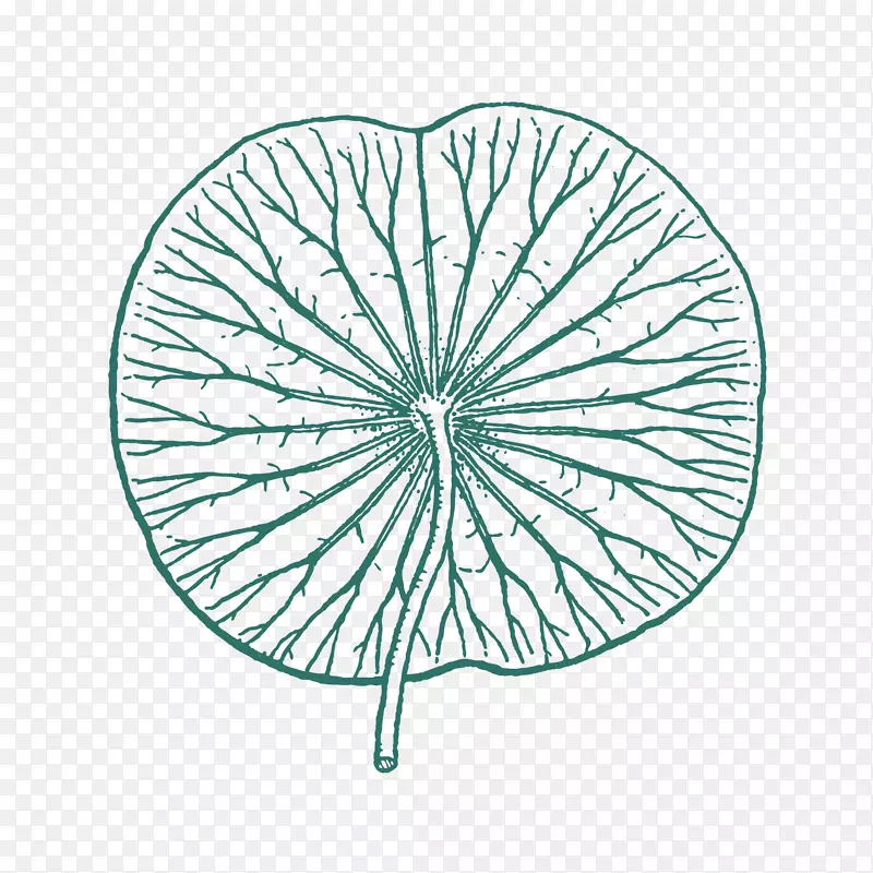 ��ͨ�ֻ���ɫ������Ҷ-������