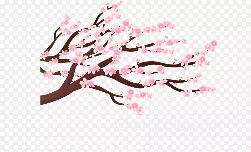 �����ۺ�ӣ����֦-������