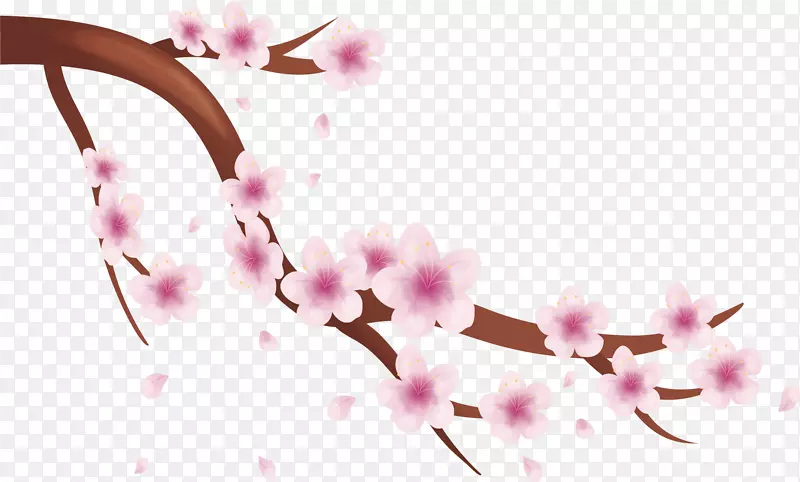 �����ۺ�ӣ����֦-������