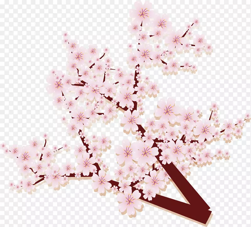 �����ۺ�ӣ����֦-������