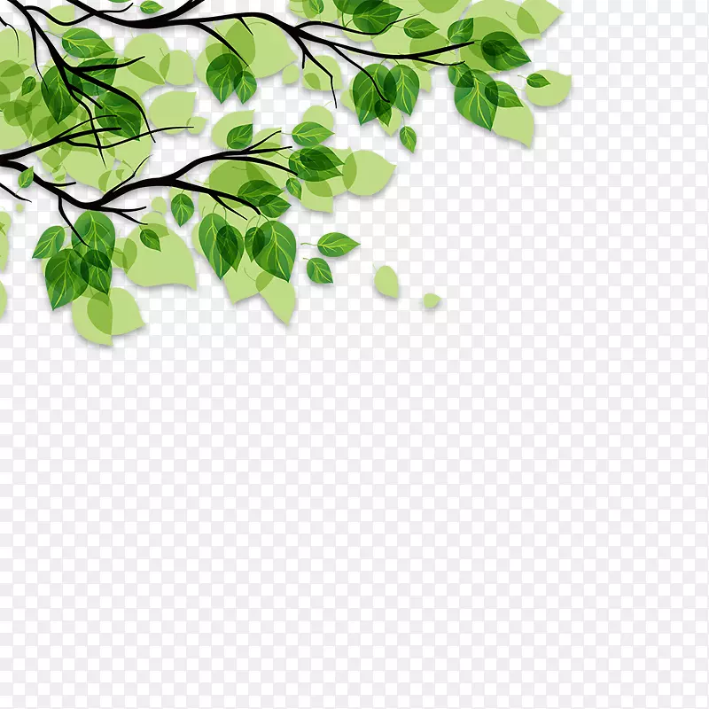 ��֦��Ҷ������Ҷ-������