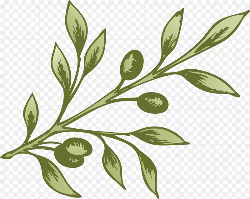 ��ɫ�����֦-������