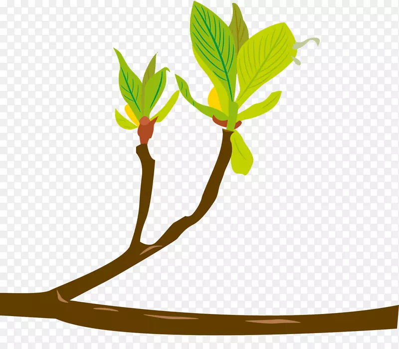 �ֻ洺����֦��ѿ-������