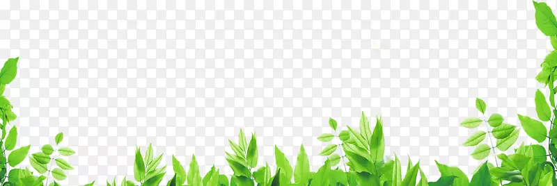 ���� ���� ��Ҷ ���� ��֦-������