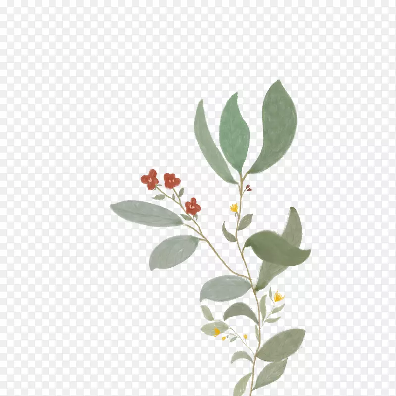 �ŷ绨����֦ ˮī-������