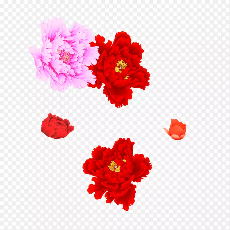 ĵ��-������