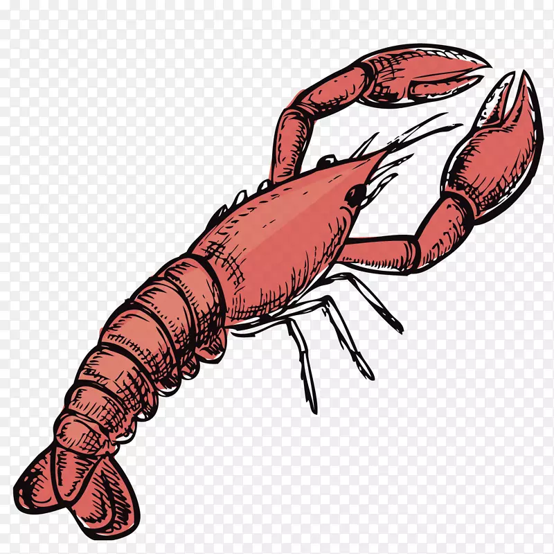 ��ͨ�ֻ���Ϻ ��ɫ-������