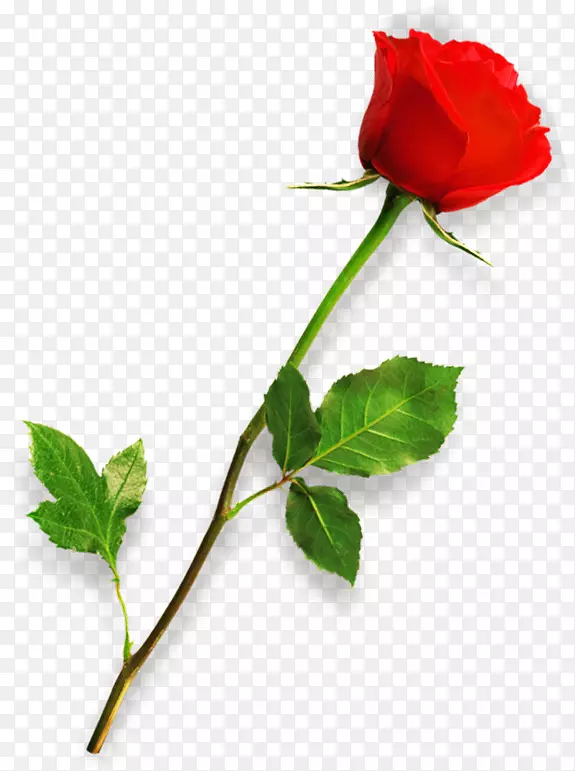 ��Ϧ���˽�����õ��-������