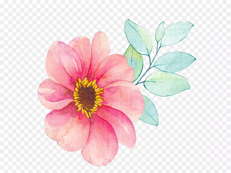 �ֻ滨��ݣ�800*600��-������